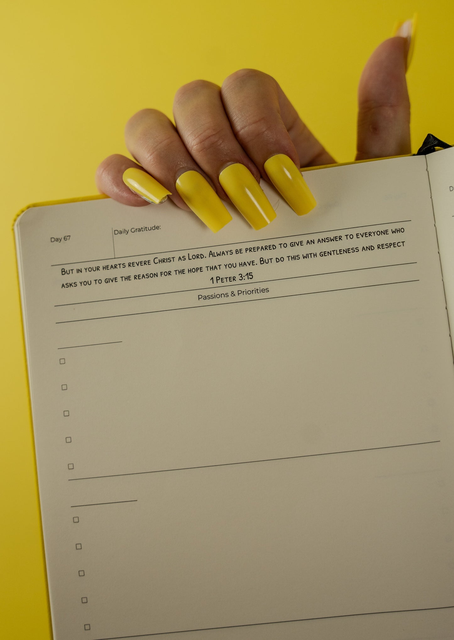 Suzie's Notebook