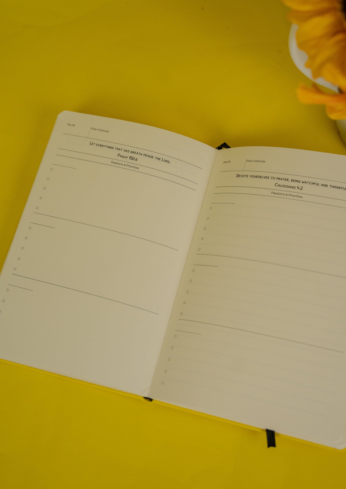 Suzie's Notebook